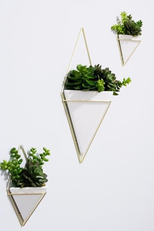 succulants wall planters succulants wall planters