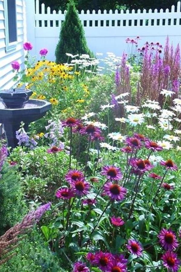 10 Low Maintenance Perennials